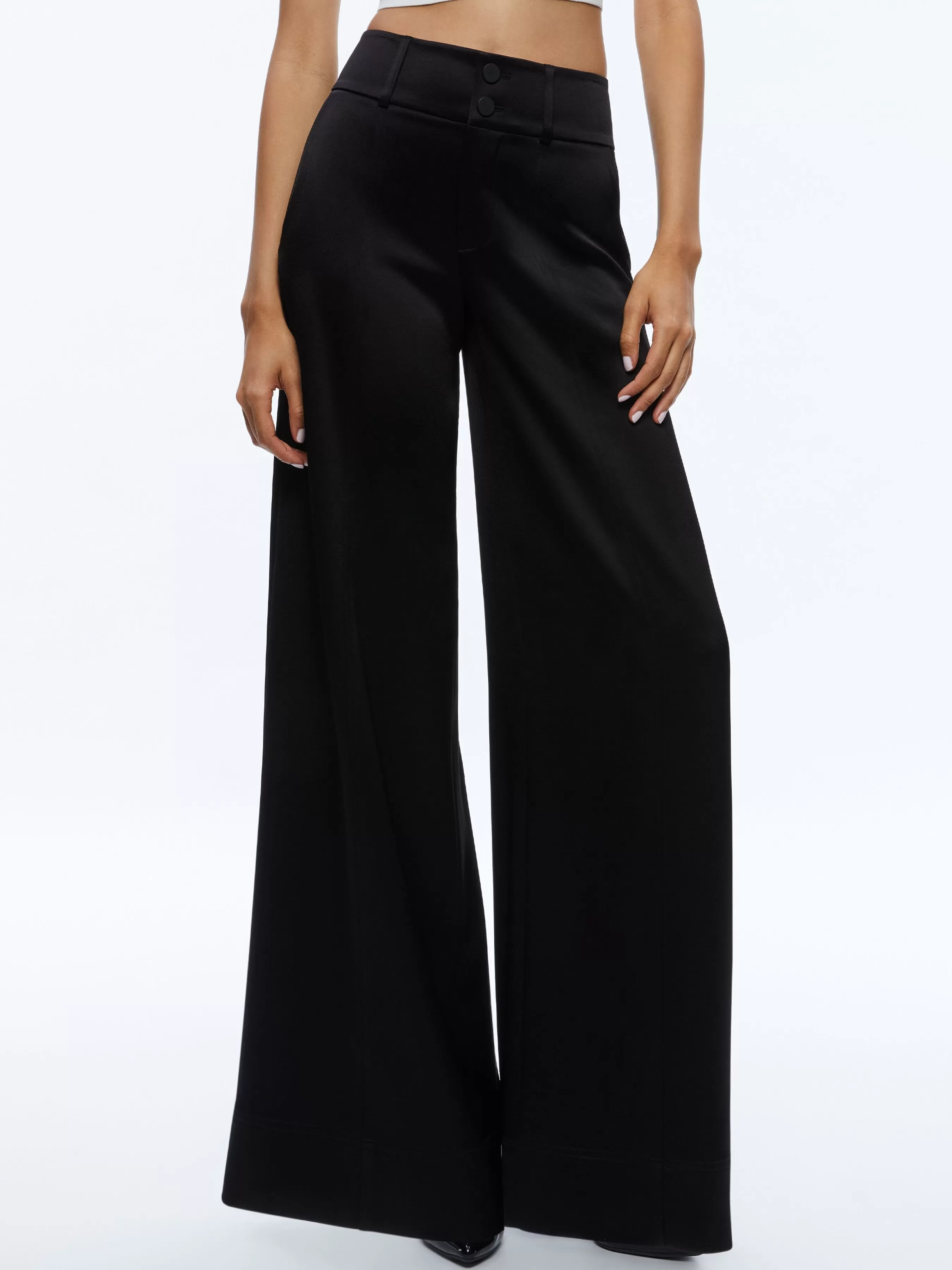 Alice and Olivia MAME HIGH RISE WIDE LEG PANT