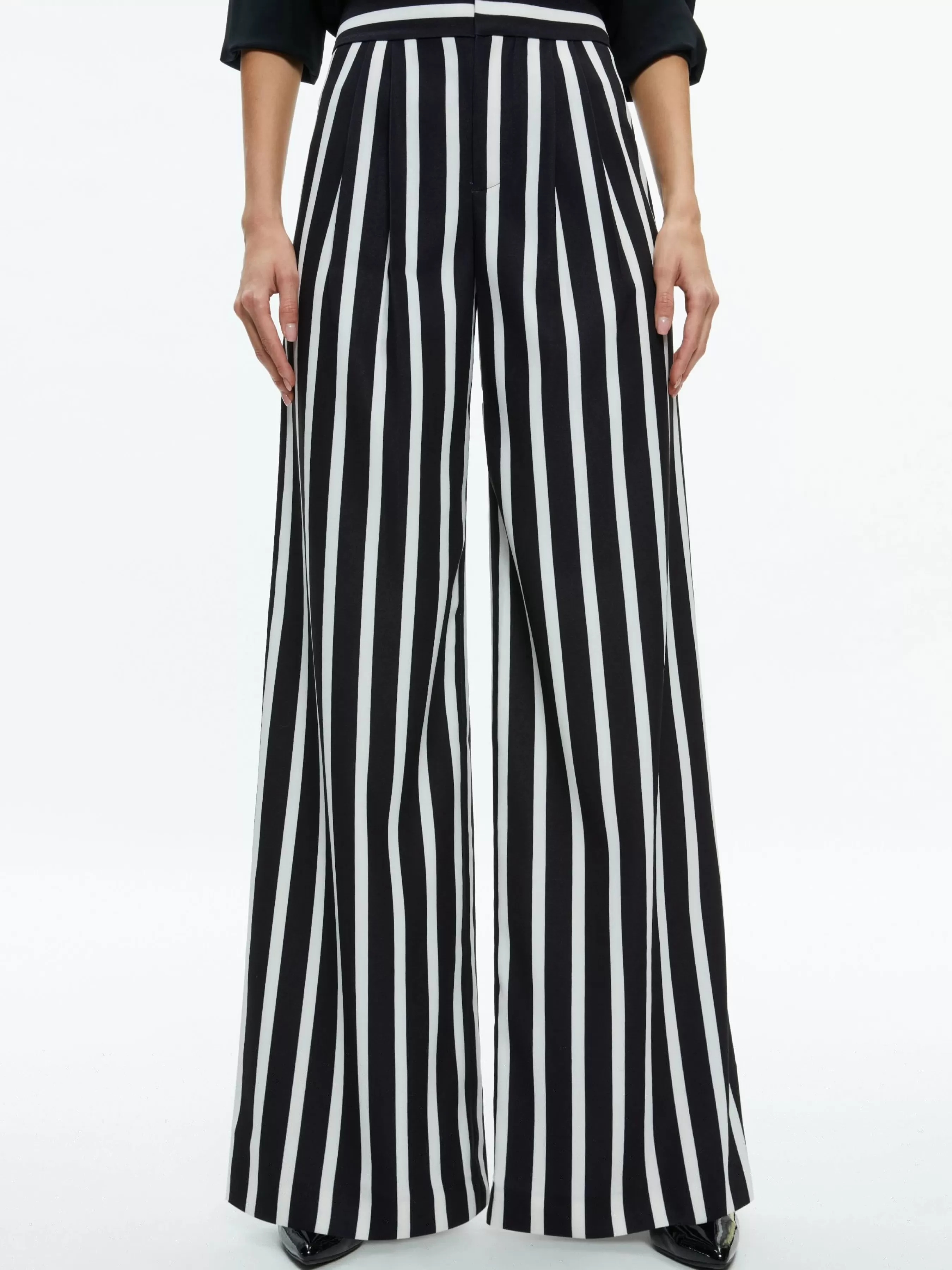 Alice and Olivia POMPEY HIGH WAISTED PLEATED PANTS